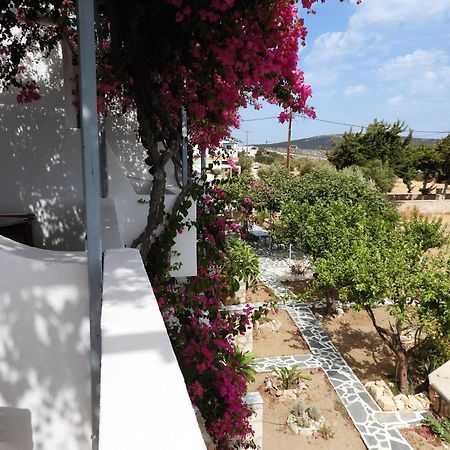 Studios Nina Amoopi Dış mekan fotoğraf
