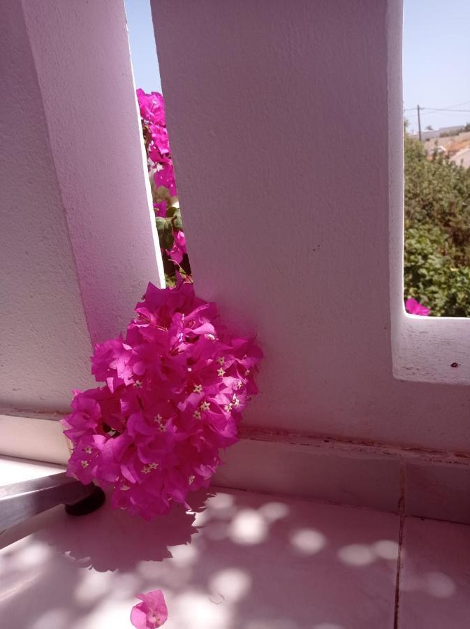 Studios Nina Amoopi Dış mekan fotoğraf